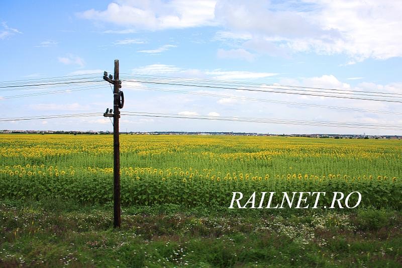 Un vechi stalp de telegraf pe marginea liniei.jpg (97.37 KiB) Vizualizat de 9782 ori Un vechi stalp de telegraf pe marginea liniei.jpg