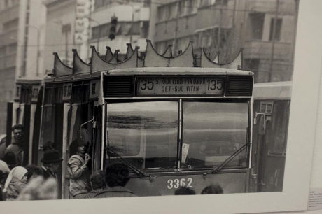 autobuz_39770600.jpg