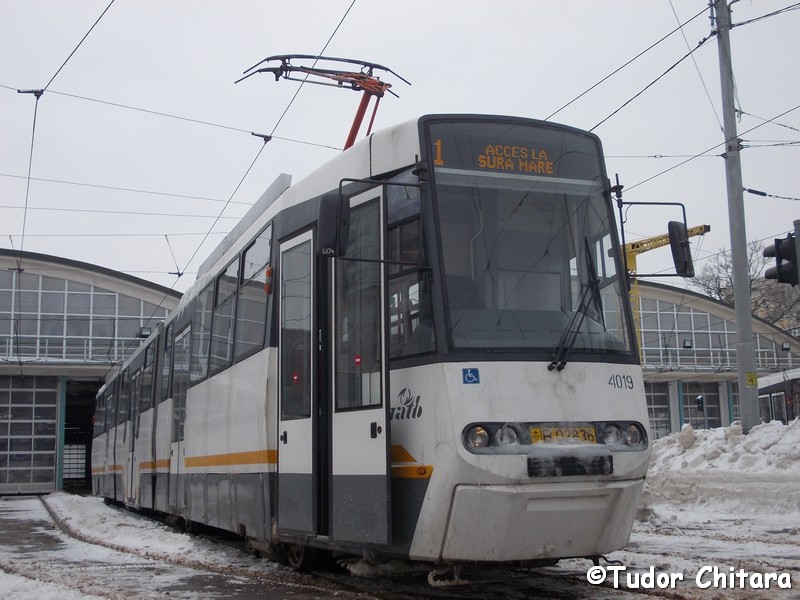 4019.jpg