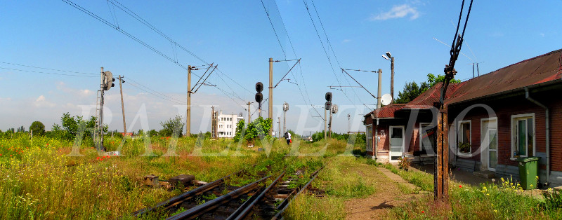 Varful cocoasei de triere .jpg (113.48 KiB) Vizualizat de 17223 ori Varful cocoasei de triere .jpg