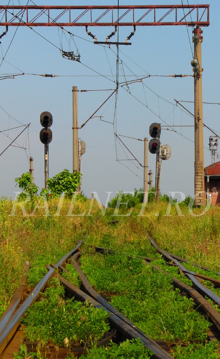 Semnalele luminoase de triere ale cocoasei.JPG (195 KiB) Vizualizat de 17223 ori Semnalele luminoase de triere ale cocoasei.JPG