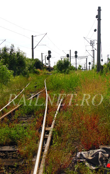 Din baza catre varful cocoasei.JPG (122.86 KiB) Vizualizat de 17229 ori Din baza catre varful cocoasei.JPG