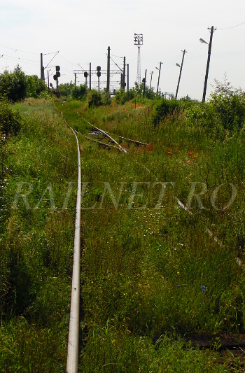 Varful cocoasei de triere de la care trecem spre franele de cale aflate in directie opusa.JPG (135.35 KiB) Vizualizat de 17223 ori Varful cocoasei de triere de la care trecem spre franele de cale aflate in directie opusa.JPG