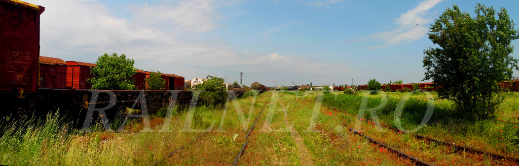 Liniste, caldura si vegetatie feroviara.jpg (154.46 KiB) Vizualizat de 17223 ori Liniste, caldura si vegetatie feroviara.jpg