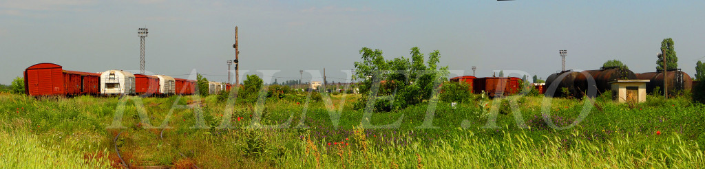 Pan vagoane BCT.jpg (114.3 KiB) Vizualizat de 17223 ori Pan vagoane BCT.jpg