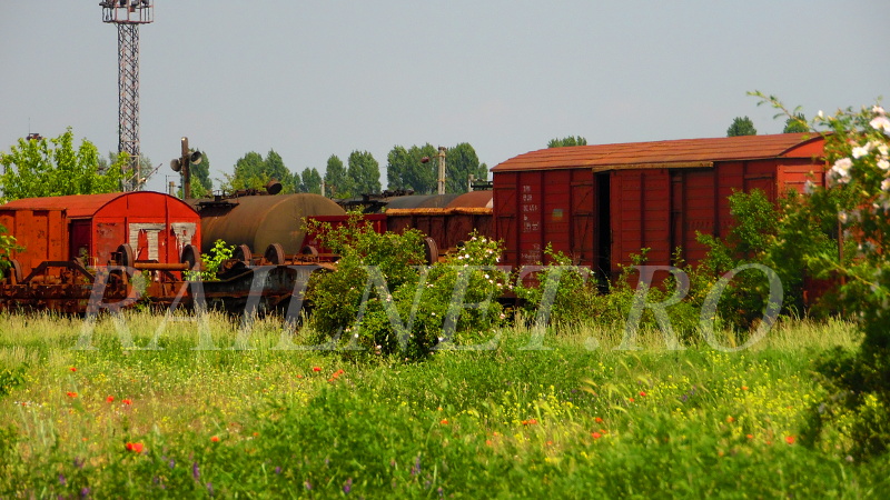 Vagoane si osii.JPG (215.6 KiB) Vizualizat de 17237 ori Vagoane si osii.JPG