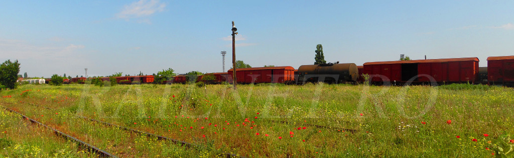 Vagoane si un megafon al coloanei de convorbiri extrem de util in vremurile cand se tria peste cocoasa.jpg (137.82 KiB) Vizualizat de 17223 ori Vagoane si un megafon al coloanei de convorbiri extrem de util in vremurile cand se tria peste cocoasa.jpg