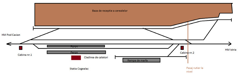 Statia Cogealac.jpg