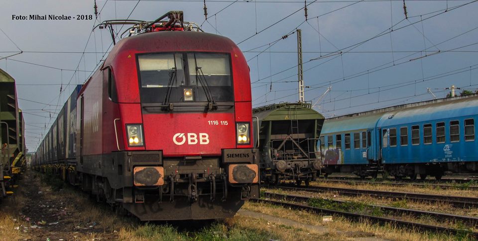115.jpg