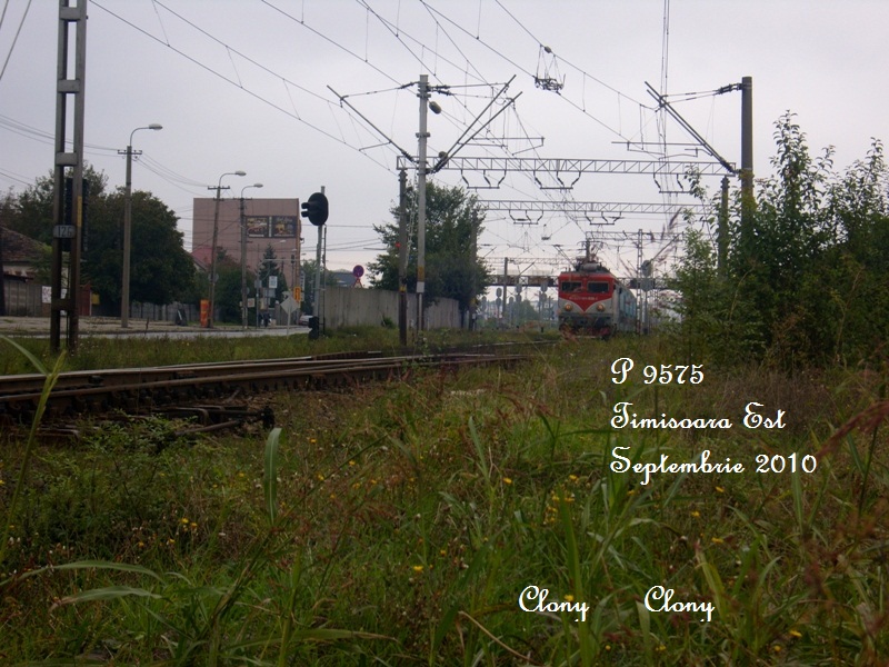 SS100754.JPG