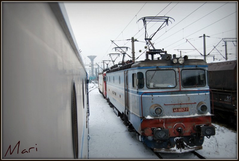 DSC_1698.jpg